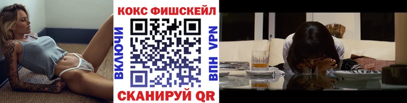 MEGA как зайти Губкин COCAIN FishScale