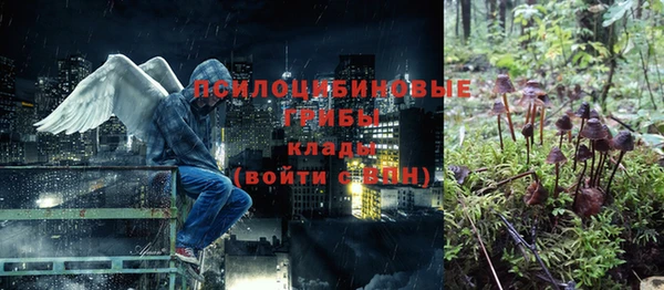 героин Дмитриев