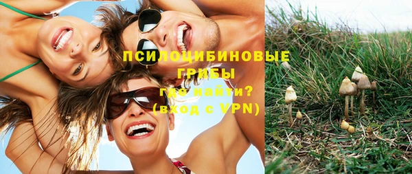 мяу мяу мука Дмитров