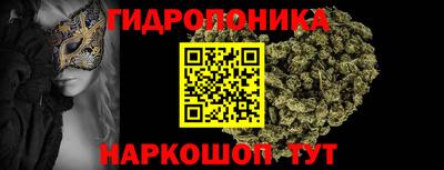 стаф Будённовск