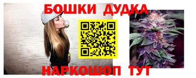стаф Будённовск