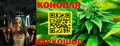 стаф Будённовск