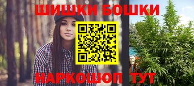 стаф Будённовск