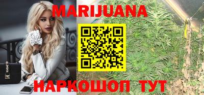 стаф Будённовск