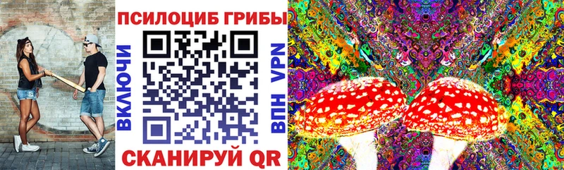Галлюциногенные грибы ЛСД  Губкин 