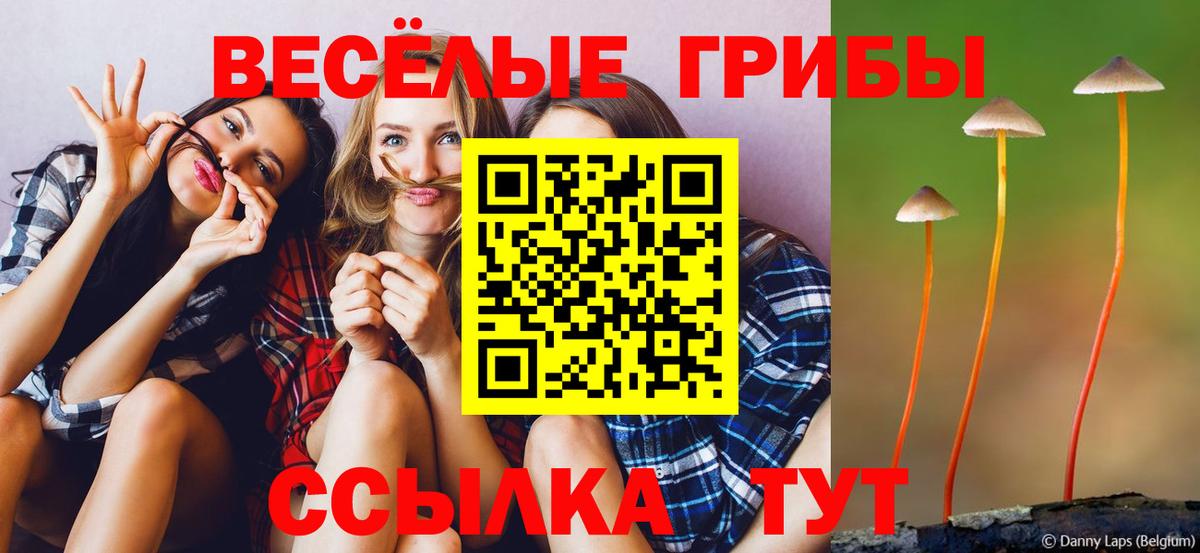 Псилоцибиновые грибы прущие грибы Губкин