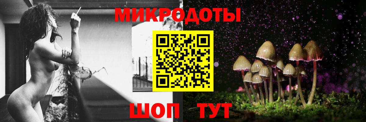 Губкин  Псилоцибиновые грибы MAGIC MUSHROOMS  Вход с VPN 